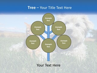 Power Conditioner Electric PowerPoint Template