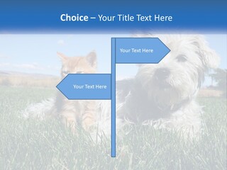 Power Conditioner Electric PowerPoint Template