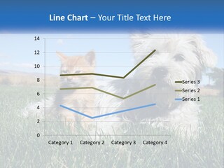 Power Conditioner Electric PowerPoint Template