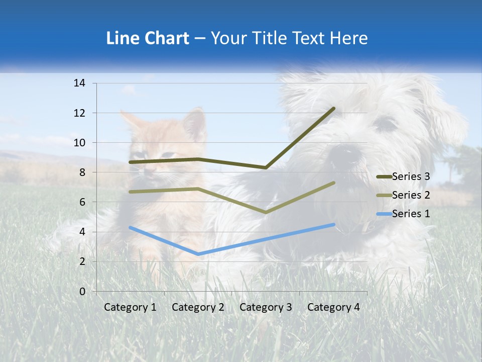 Power Conditioner Electric PowerPoint Template