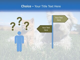 Power Conditioner Electric PowerPoint Template