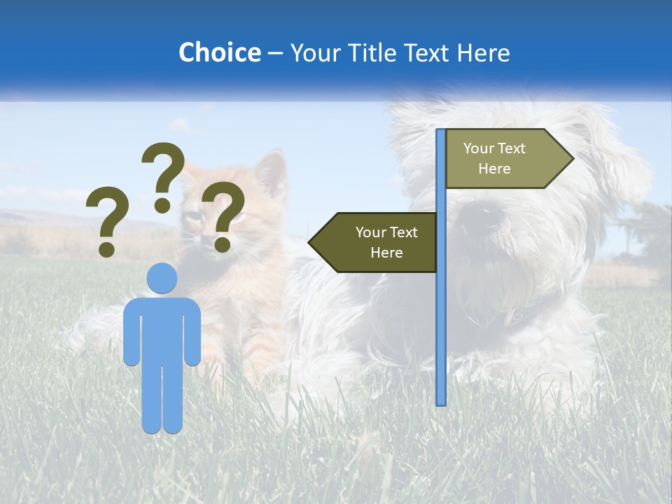 Power Conditioner Electric PowerPoint Template