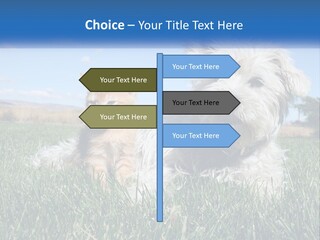 Power Conditioner Electric PowerPoint Template