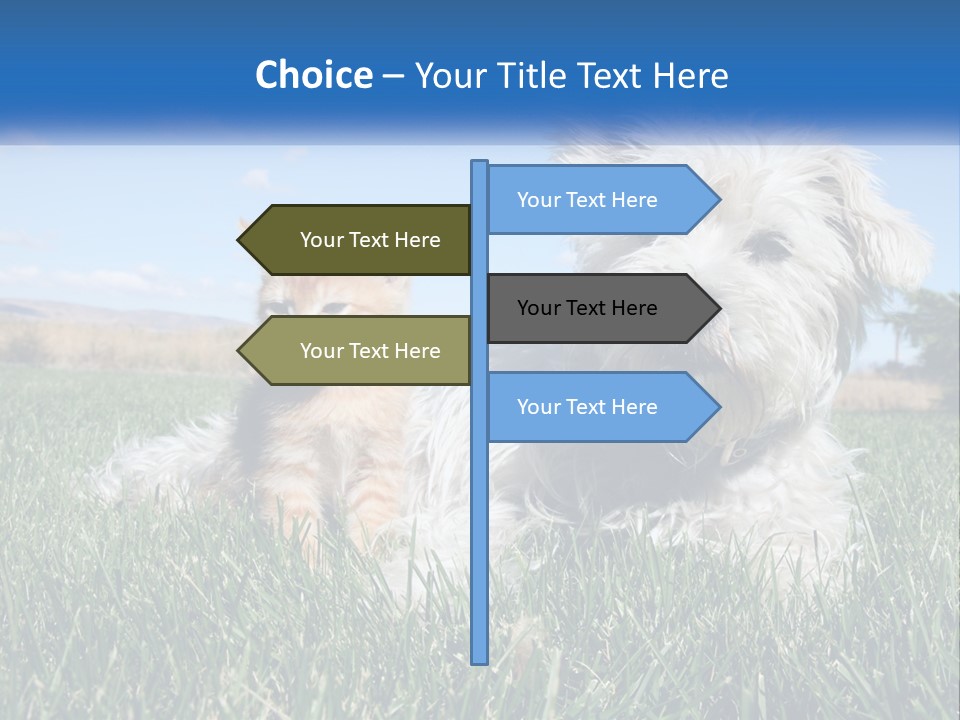 Power Conditioner Electric PowerPoint Template