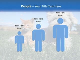 Power Conditioner Electric PowerPoint Template