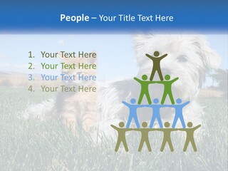 Power Conditioner Electric PowerPoint Template