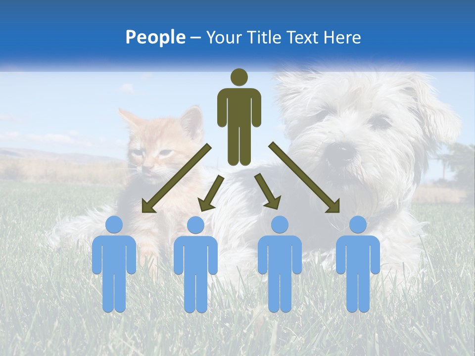 Power Conditioner Electric PowerPoint Template