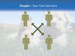 Power Conditioner Electric PowerPoint Template