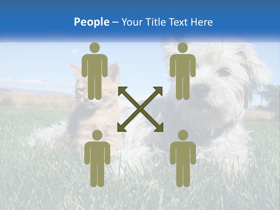 Power Conditioner Electric PowerPoint Template