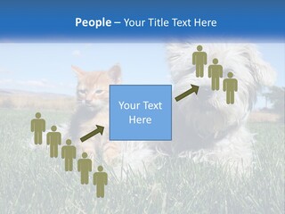 Power Conditioner Electric PowerPoint Template