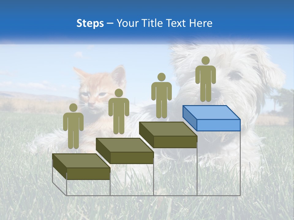 Power Conditioner Electric PowerPoint Template