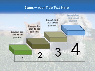 Power Conditioner Electric PowerPoint Template