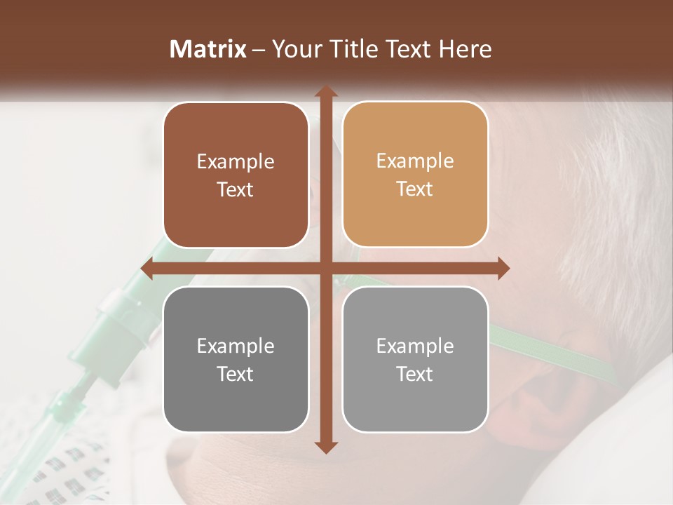 White House Unit PowerPoint Template