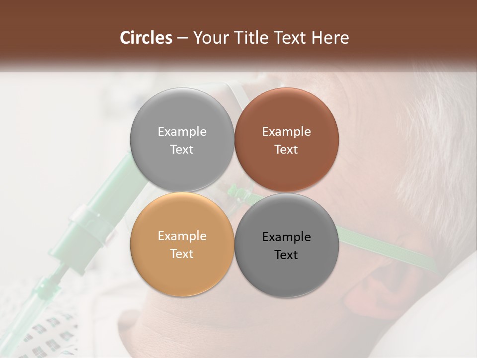 White House Unit PowerPoint Template