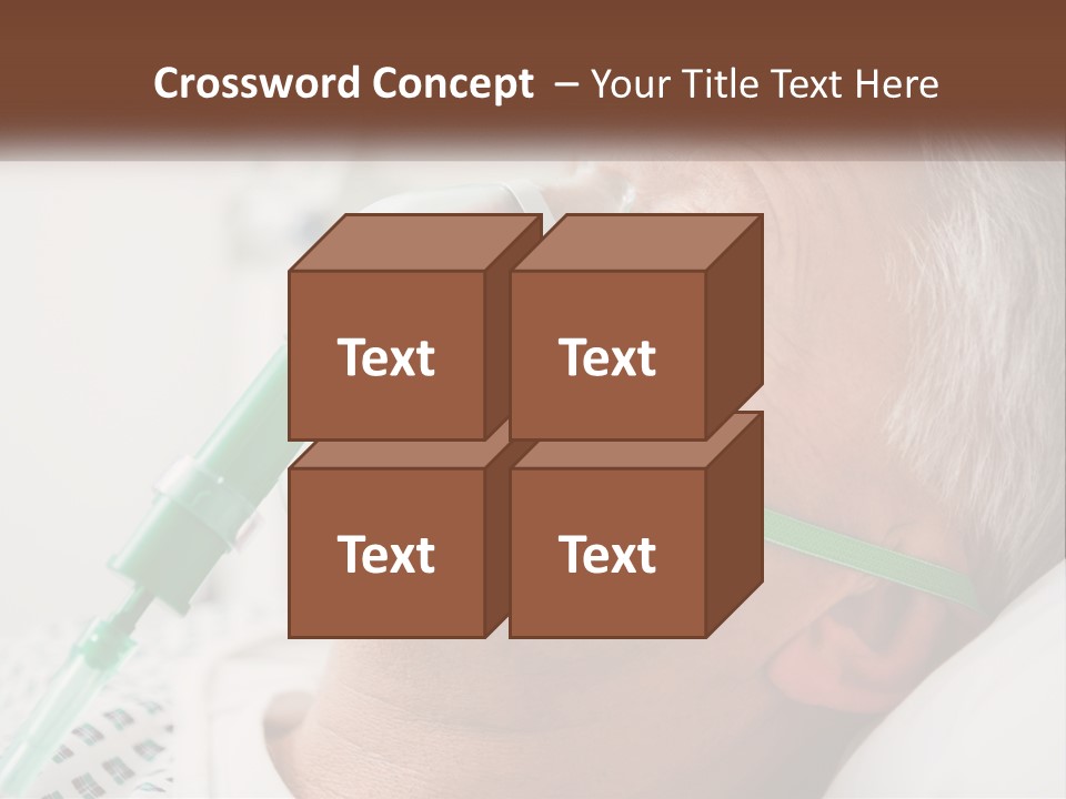White House Unit PowerPoint Template