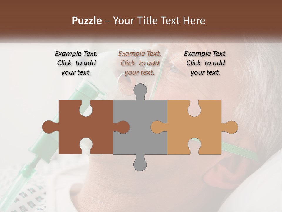 White House Unit PowerPoint Template