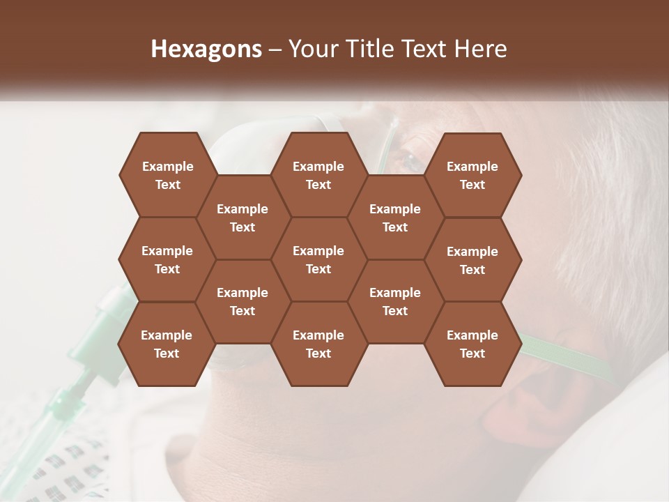 White House Unit PowerPoint Template