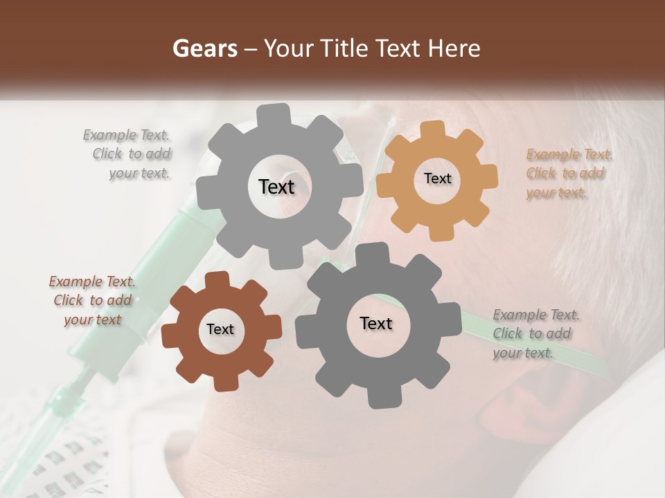 White House Unit PowerPoint Template