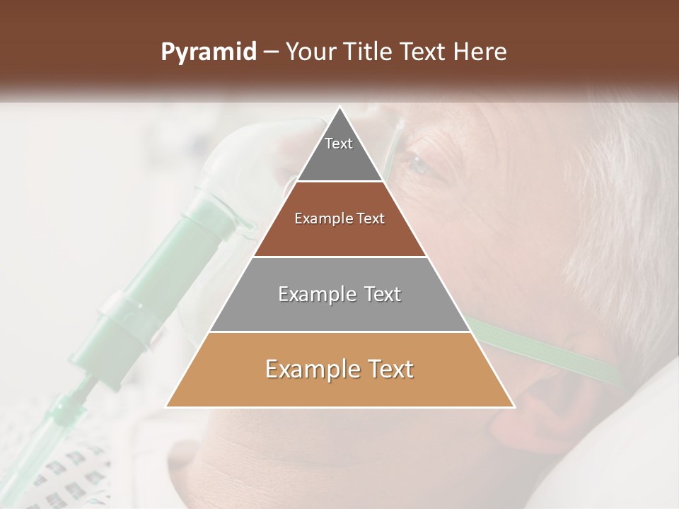 White House Unit PowerPoint Template