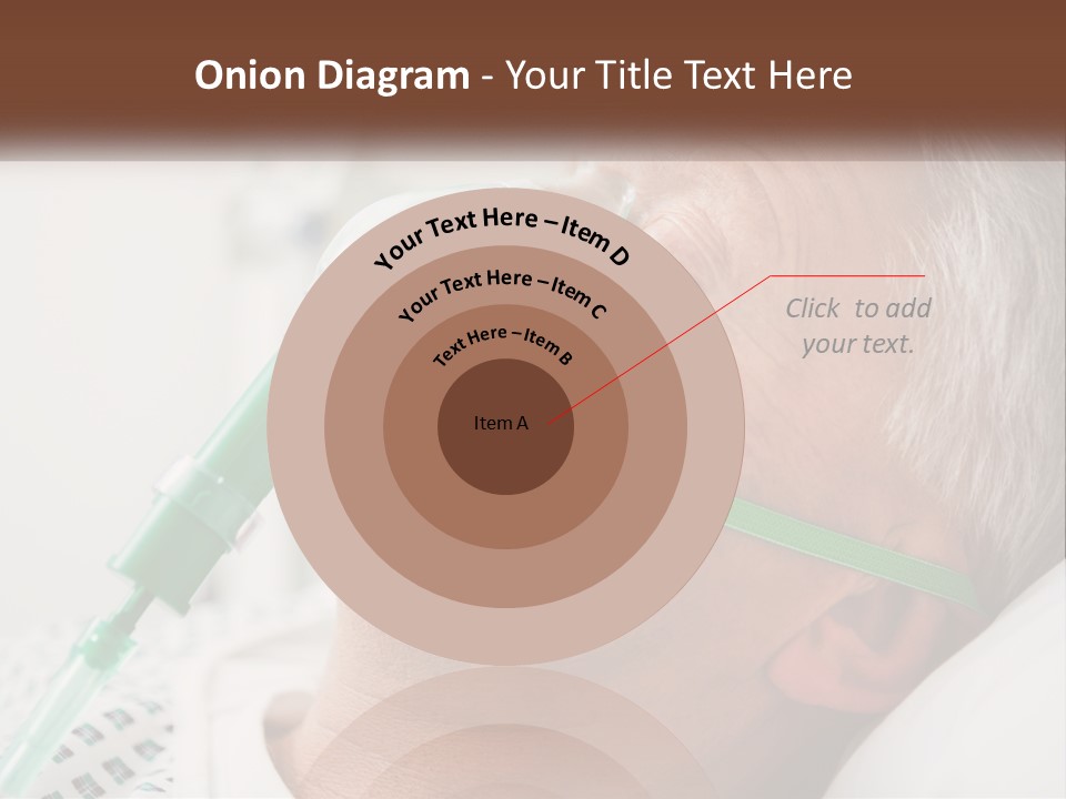 White House Unit PowerPoint Template