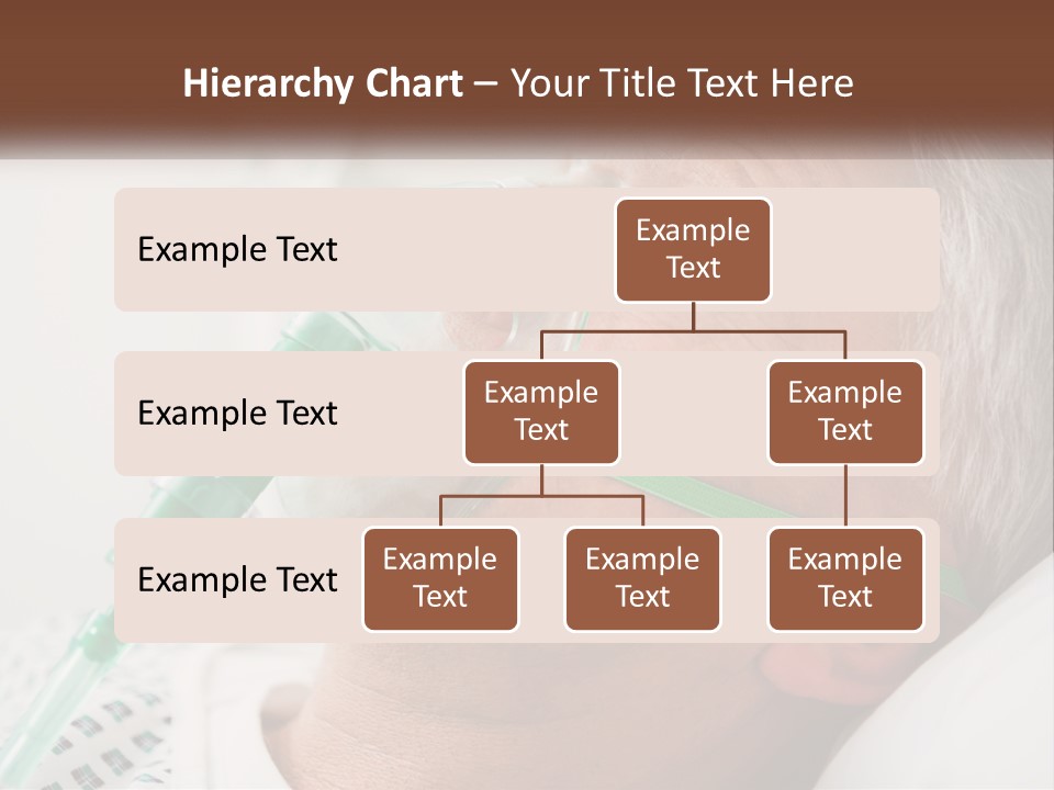 White House Unit PowerPoint Template