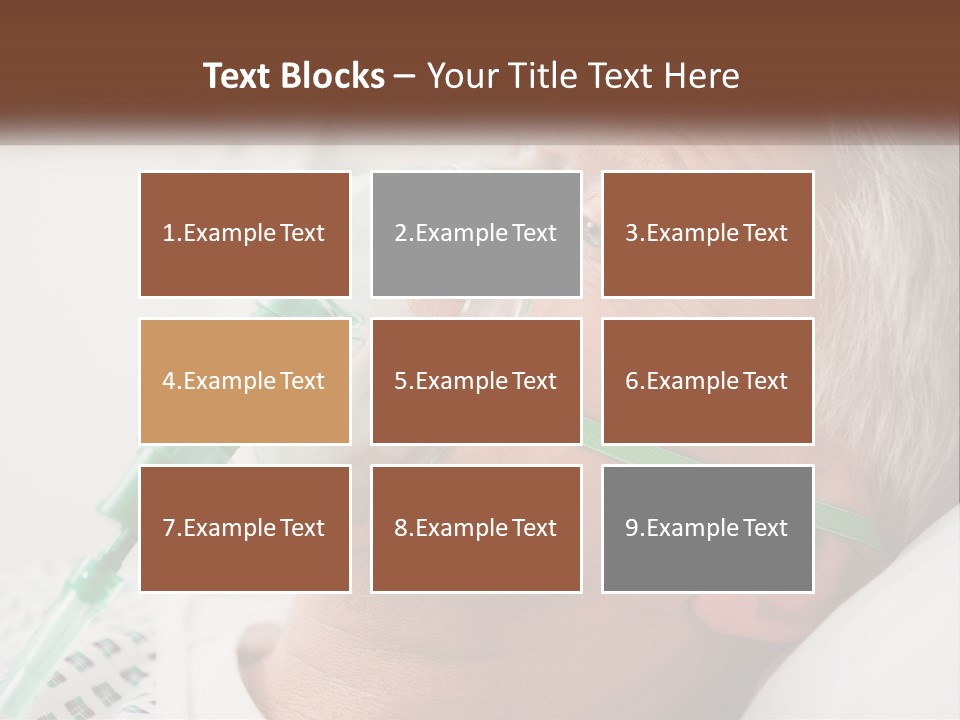 White House Unit PowerPoint Template