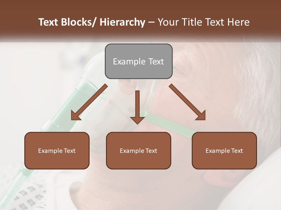 White House Unit PowerPoint Template