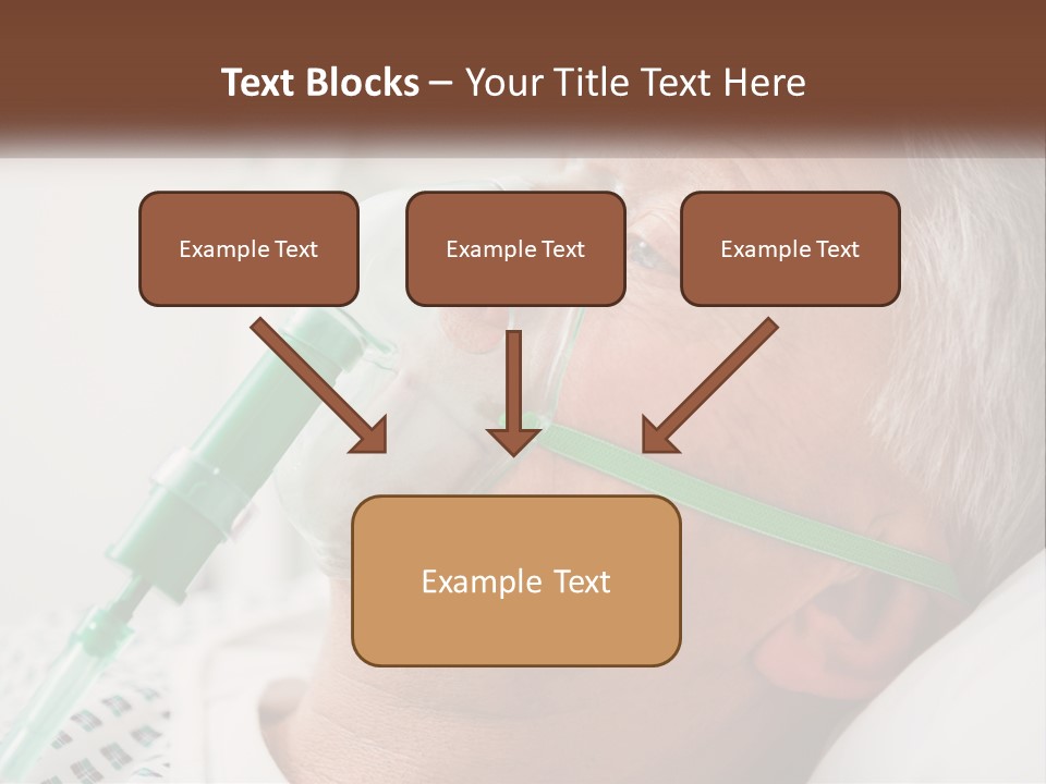 White House Unit PowerPoint Template