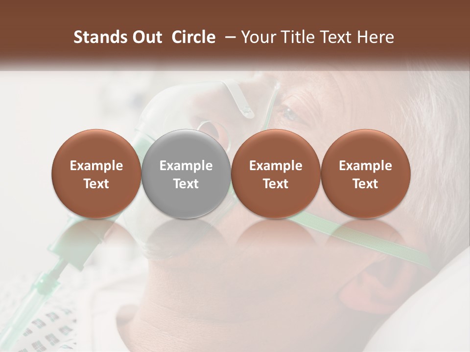 White House Unit PowerPoint Template