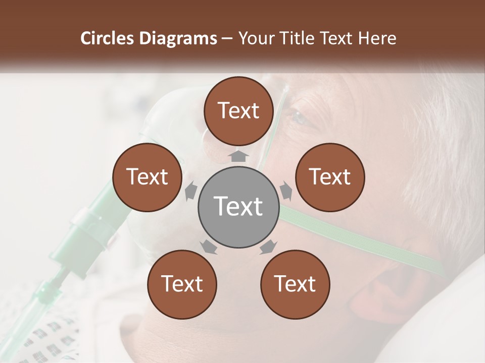 White House Unit PowerPoint Template