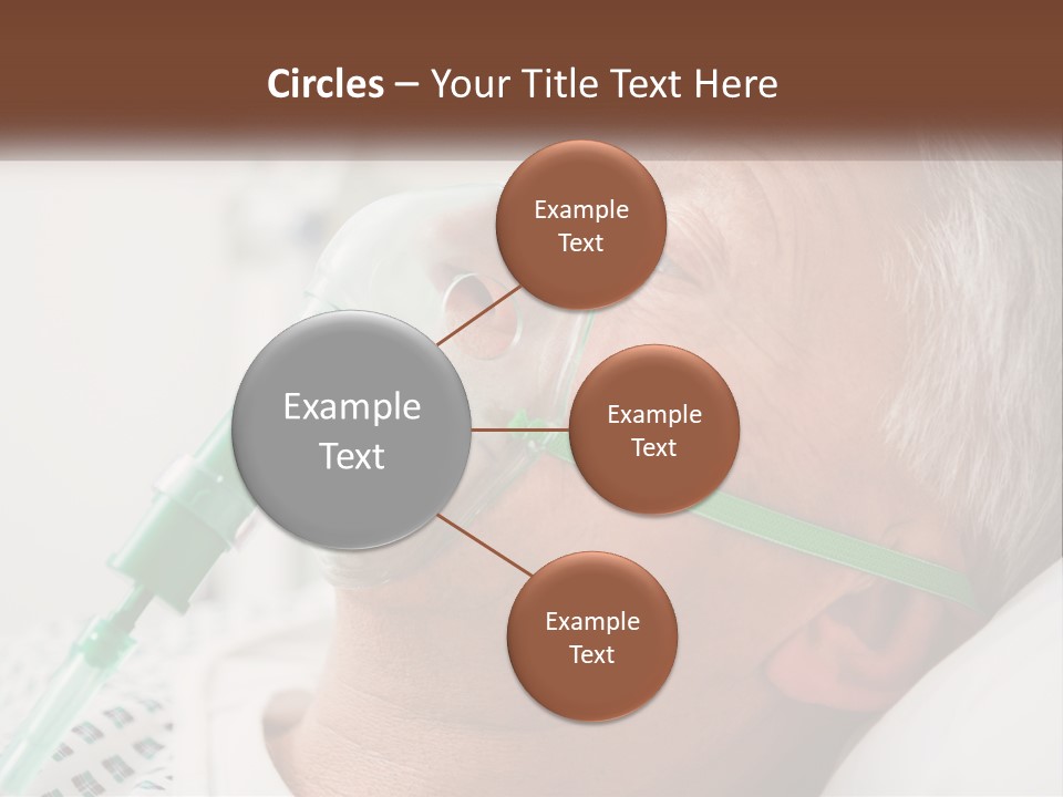 White House Unit PowerPoint Template