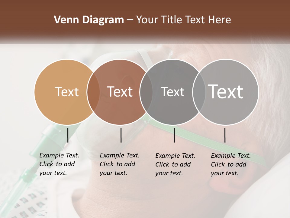 White House Unit PowerPoint Template