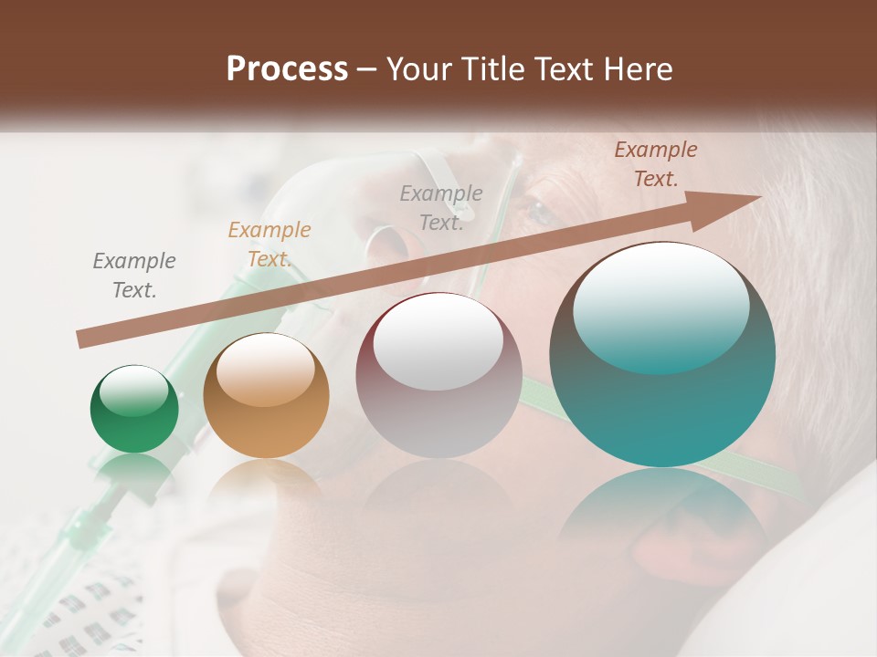 White House Unit PowerPoint Template