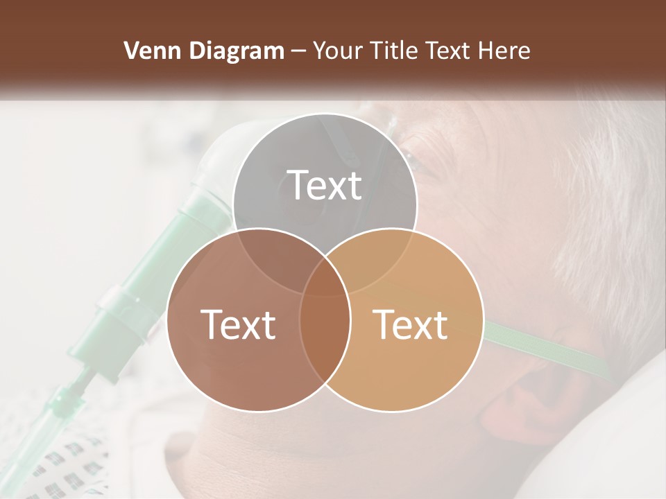 White House Unit PowerPoint Template