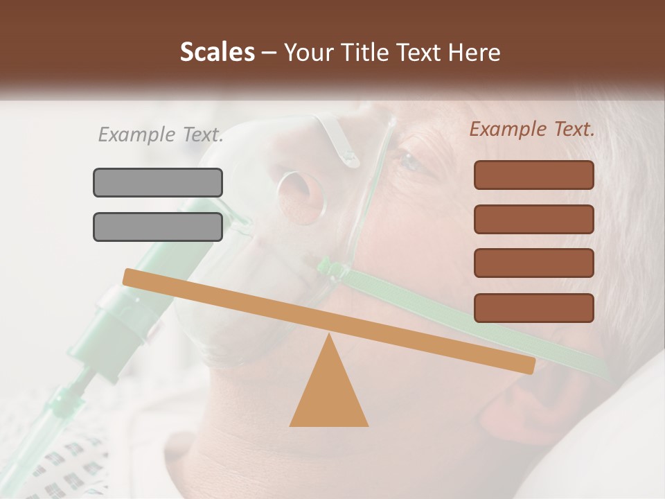 White House Unit PowerPoint Template