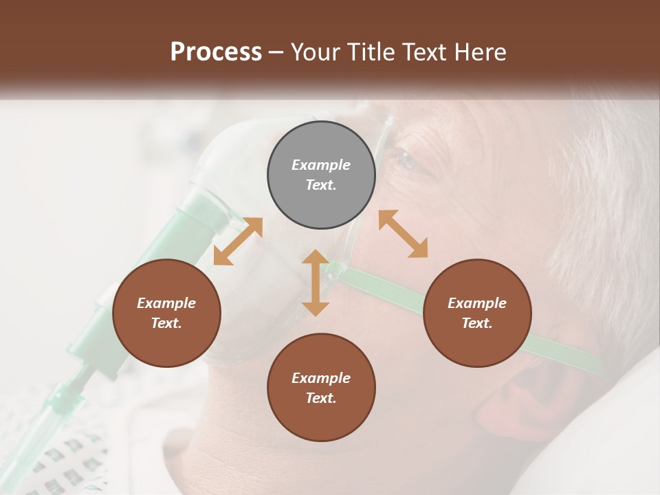 White House Unit PowerPoint Template