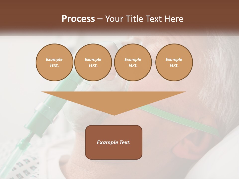 White House Unit PowerPoint Template