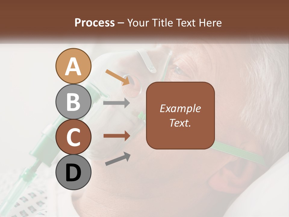 White House Unit PowerPoint Template