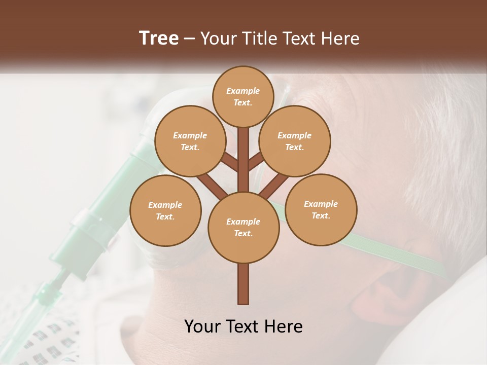 White House Unit PowerPoint Template