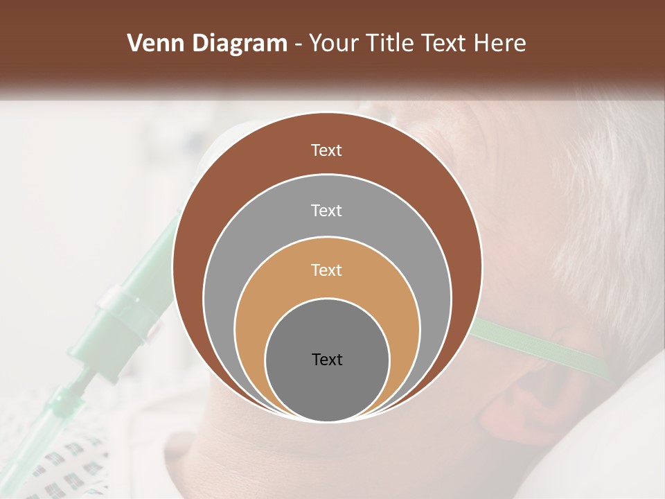 White House Unit PowerPoint Template