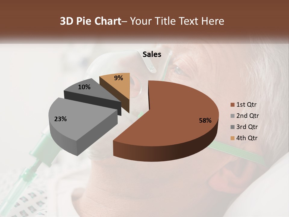 White House Unit PowerPoint Template