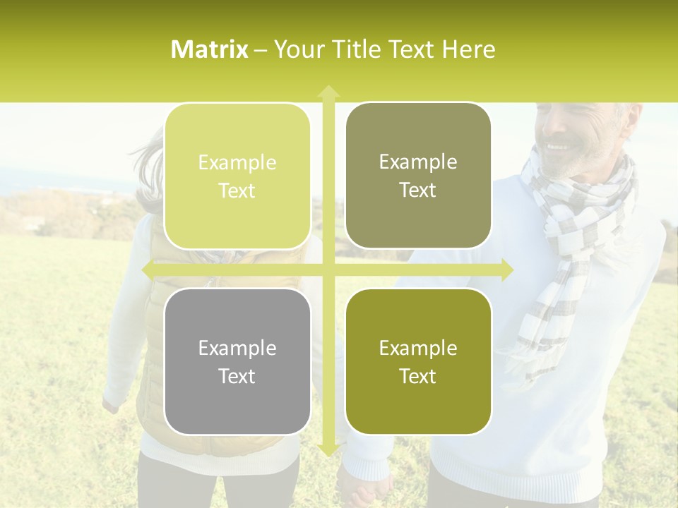 House System Condition PowerPoint Template