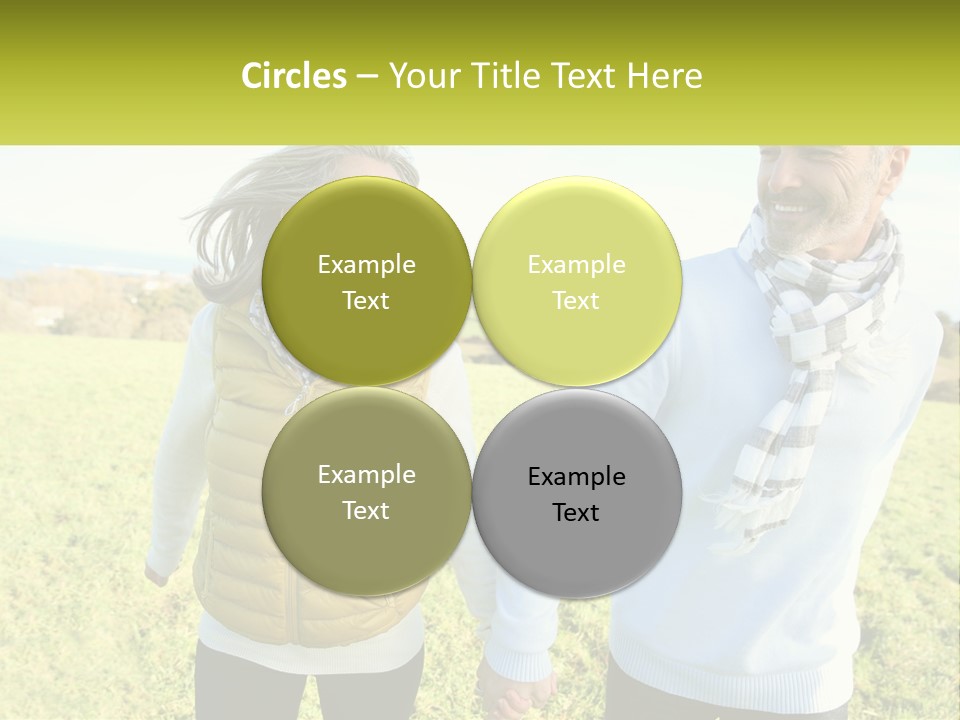 House System Condition PowerPoint Template