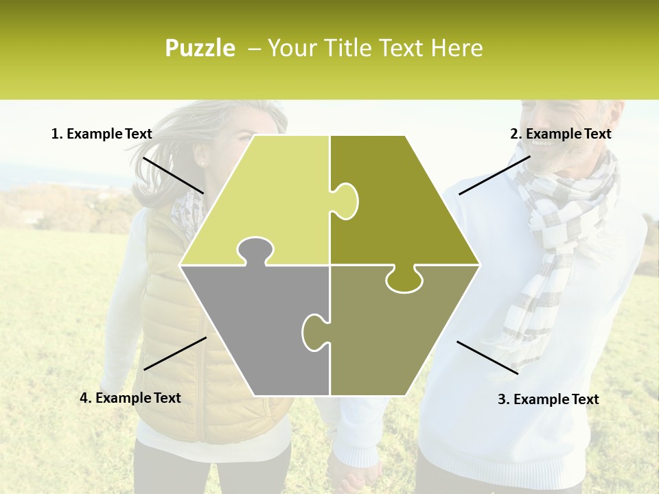 House System Condition PowerPoint Template