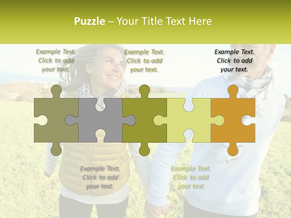 House System Condition PowerPoint Template