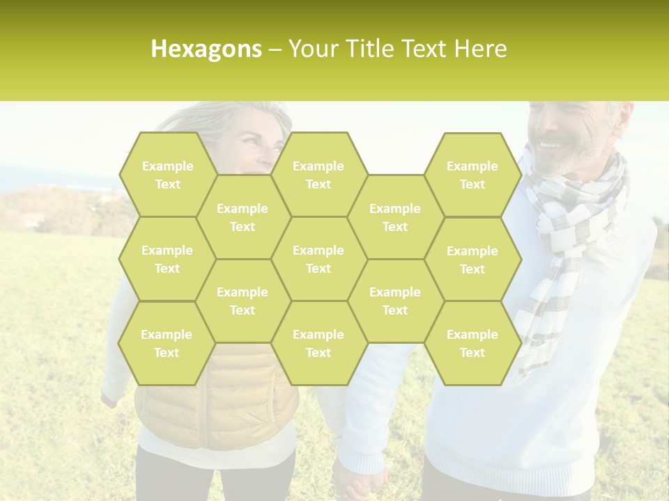 House System Condition PowerPoint Template