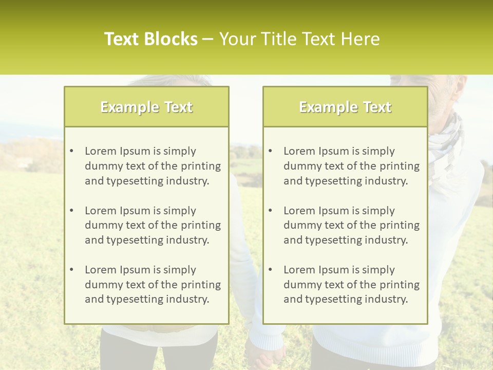House System Condition PowerPoint Template