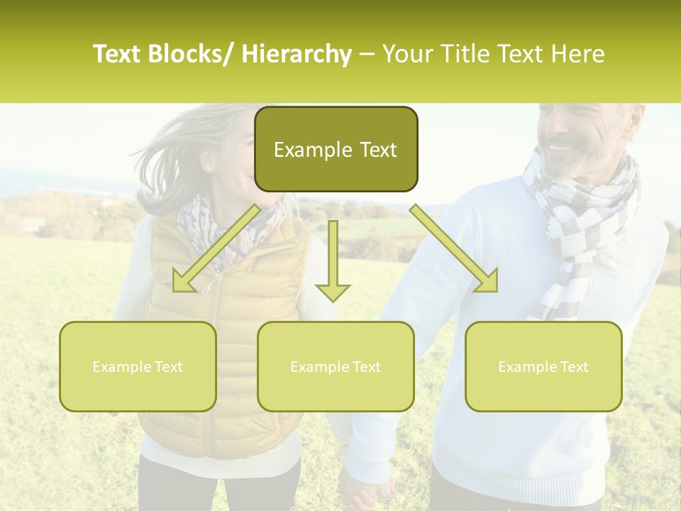 House System Condition PowerPoint Template