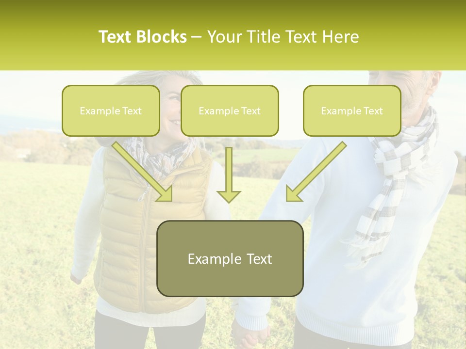 House System Condition PowerPoint Template