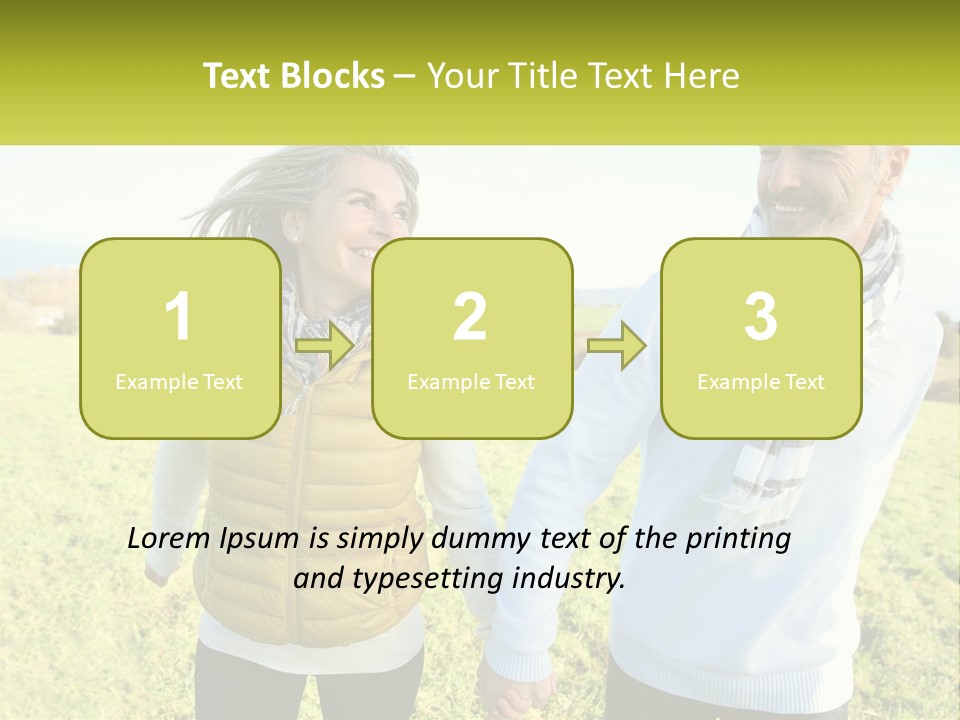 House System Condition PowerPoint Template